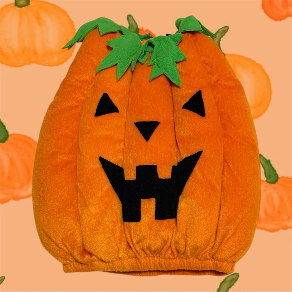 ❤︎2/$20❤︎ Pumpkin Costume Halloween